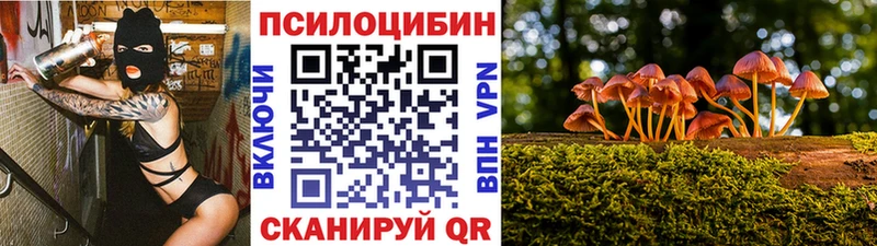 darknet телеграм Нерюнгри Псилоцибиновые грибы ЛСД